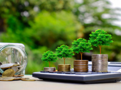 Togo: Council of Ministers adopt new bill to better protect the environment