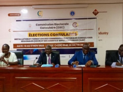 Togo: Chamber of Trade and Industry sets up regional consular electoral commissions