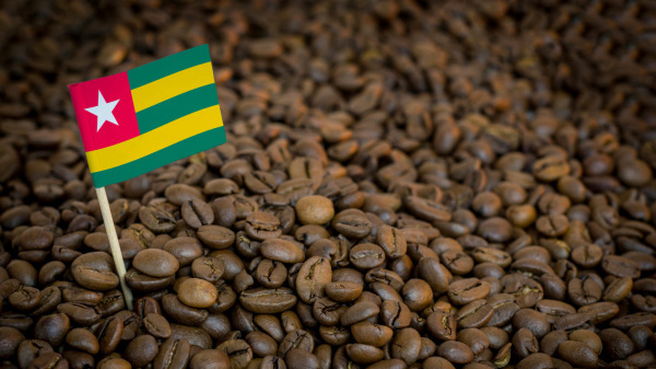Coffee: Togo’s output was up by 55.9% in the 2021-2022 season