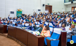 Togo Lawmakers Approve 2026 Budget, Up 14.8%