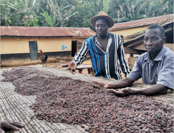 Koami Elom Kpelly, le jeune togolais qui se rêve en magnat du café