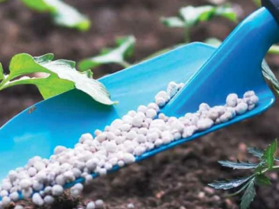 coton-le-togo-prevoit-5-8-milliards-fcfa-pour-l-approvisionnement-en-engrais-en-2026