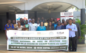 Togo : la restructuration de la fili&egrave;re karit&eacute; en ligne de mire