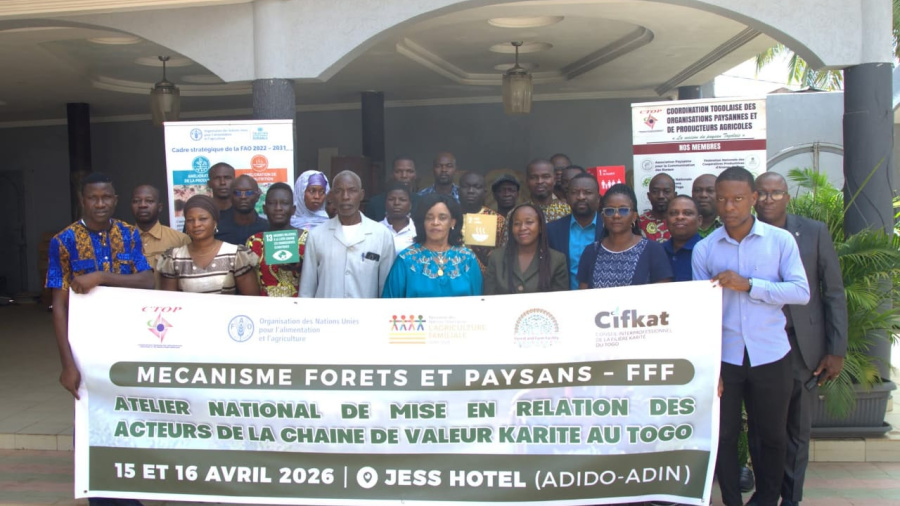 Togo : la restructuration de la fili&egrave;re karit&eacute; en ligne de mire