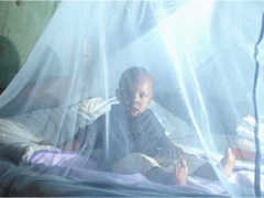 Togo earmarks CFA1.3 bln to procure 742,902 mosquito nets in 2026