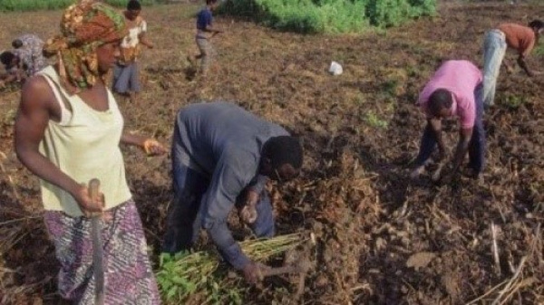 Le Togo met les bouchées doubles pour se doter d’un code foncier rural